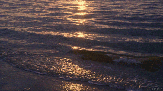 Background GIF